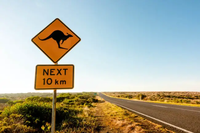 Australien Känguru Straßenschild