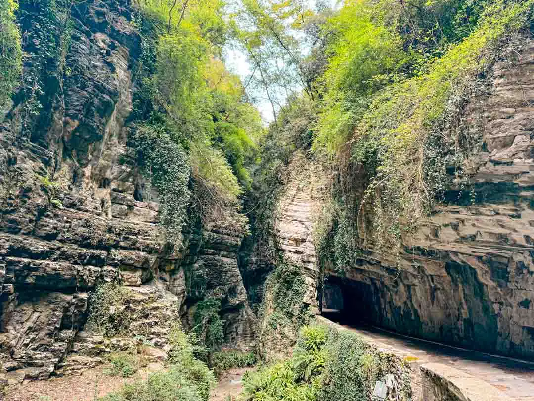 bewachsene Felswände in der Brassa Schlucht, Gardasee