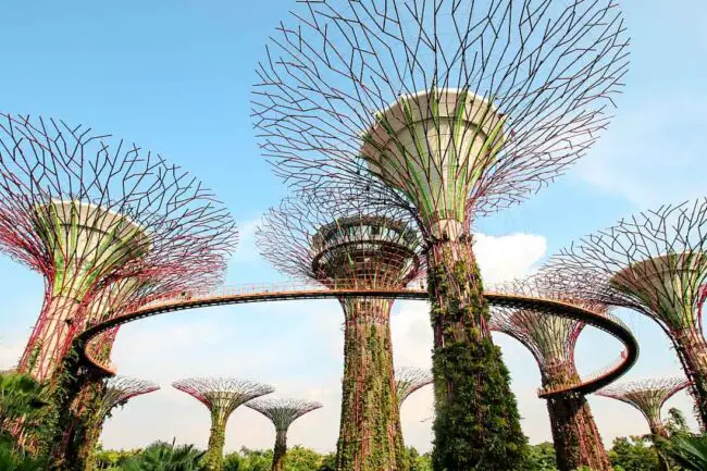 Singapur Supertree Grove, Singapur an einem Tag