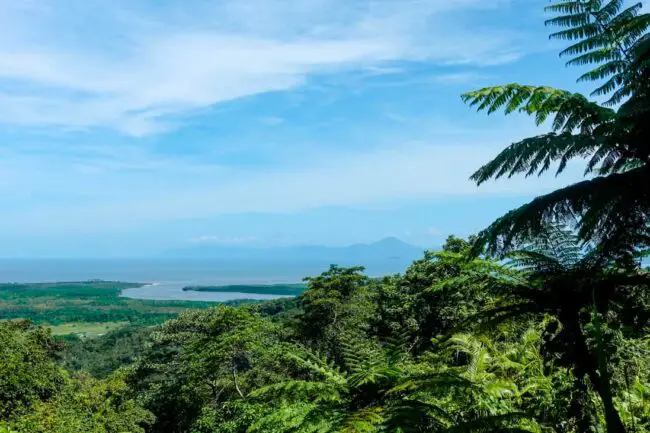 Australien Beitragsbild Daintree NP